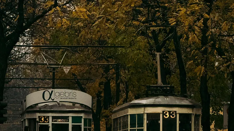 Tram storico di Milano in una via alberata autunnale del quartiere QT8